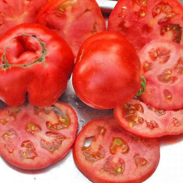 Sub Arctic Plenty Tomato Seeds