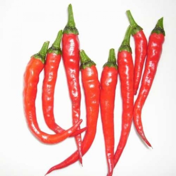 Cayenne_Thin_Chili_Samen_1.jpg