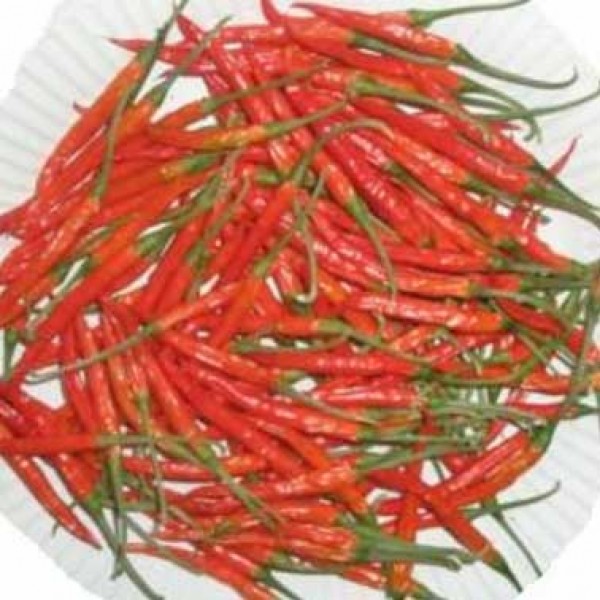 Khorika Jolokia Chili Seeds