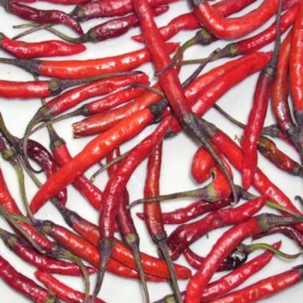 Naga Jolokia Purple - Indian PC-1 Chili Seeds