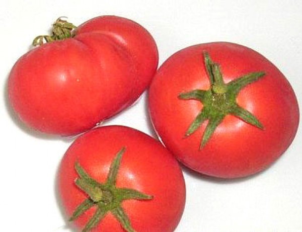 Harzfeuer Tomato Seeds