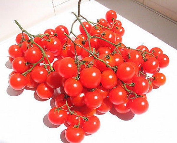 Riesentraube Tomato Seeds