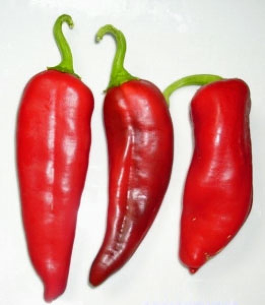 NuMex Big Jim Chili Seeds