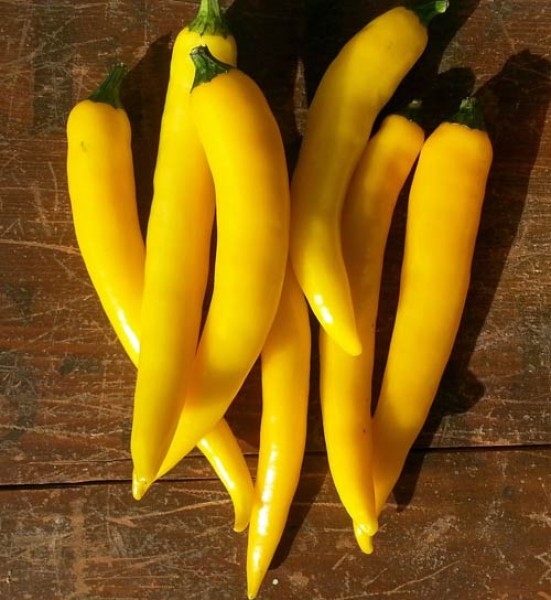 Cayenne Yellow Chili Seeds