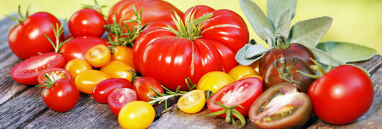 Tomato Growing Tips
