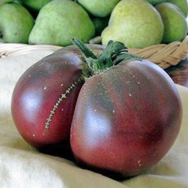 Brandywine Black Tomato Seeds