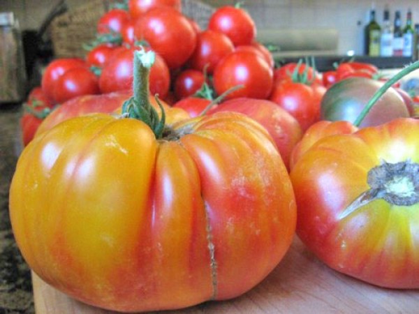 Flame Tomato Seeds