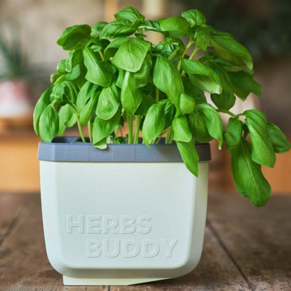 Herbs Buddy Herb Pot grey