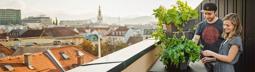 Vertical Gardening