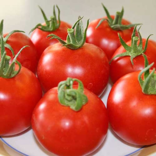 Hellfrucht_Tomaten_Samen_1.jpg