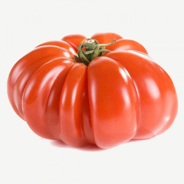 Costoluto Genovese Tomato Seeds