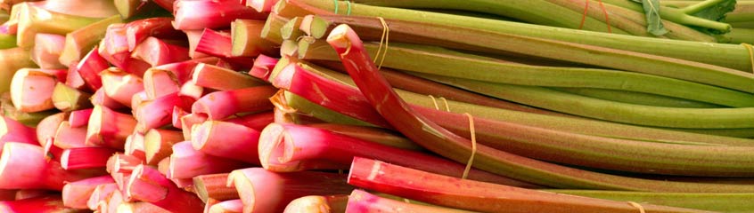 Rhubarb