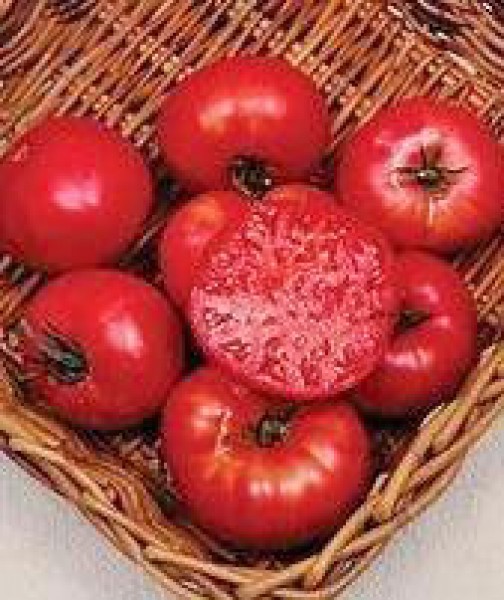 Mortgage Lifter Tomato Seeds