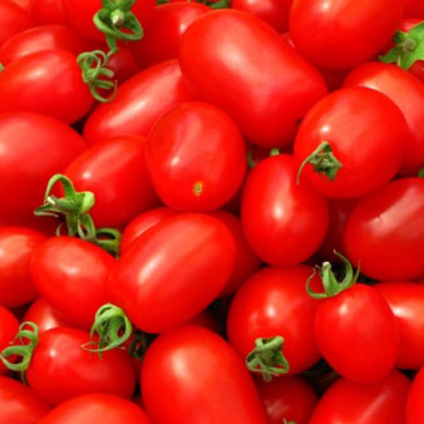 50 Tomato Seeds petomech FREE SHIPPING 