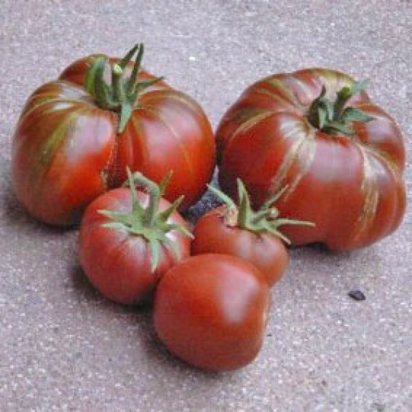 Black Prince Tomato Seeds