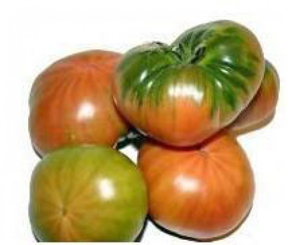 Muchamiel Tomato Seeds