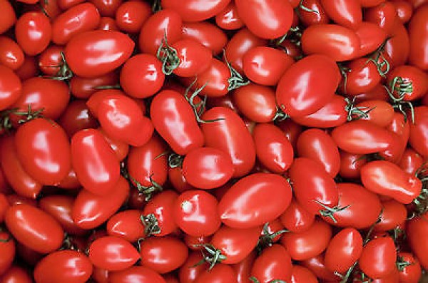 Cherry Roma Tomato Seeds