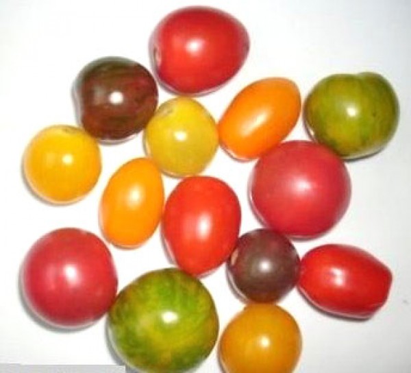 Tomato Seed Mix