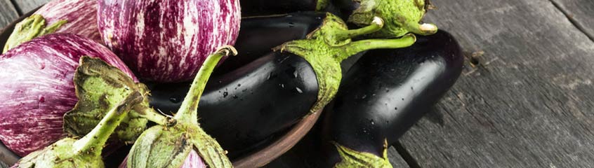 Eggplant