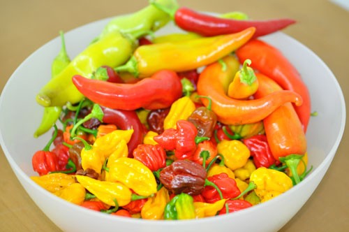 Drying and preserving chillies