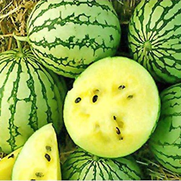 Wassermelone_Petite_Yellow_Samen_1.jpg