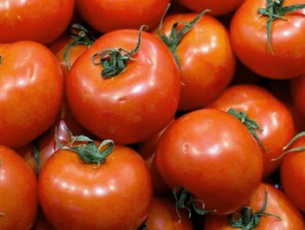 Craigella_Tomaten_Samen_1.jpg