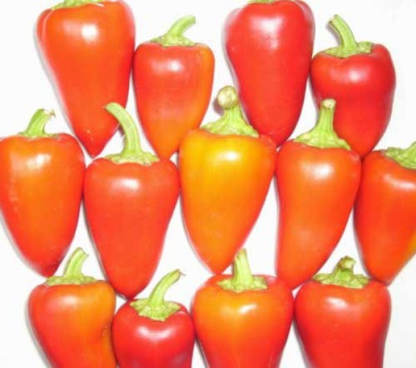 Antohi Romanian Chili Seeds